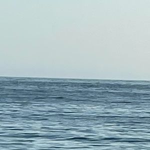 Meet your Posher, Marina